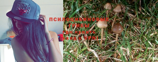 круглые Бородино