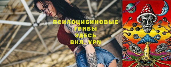 круглые Бородино