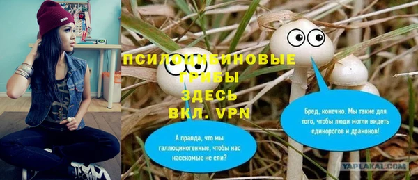 spice Бронницы